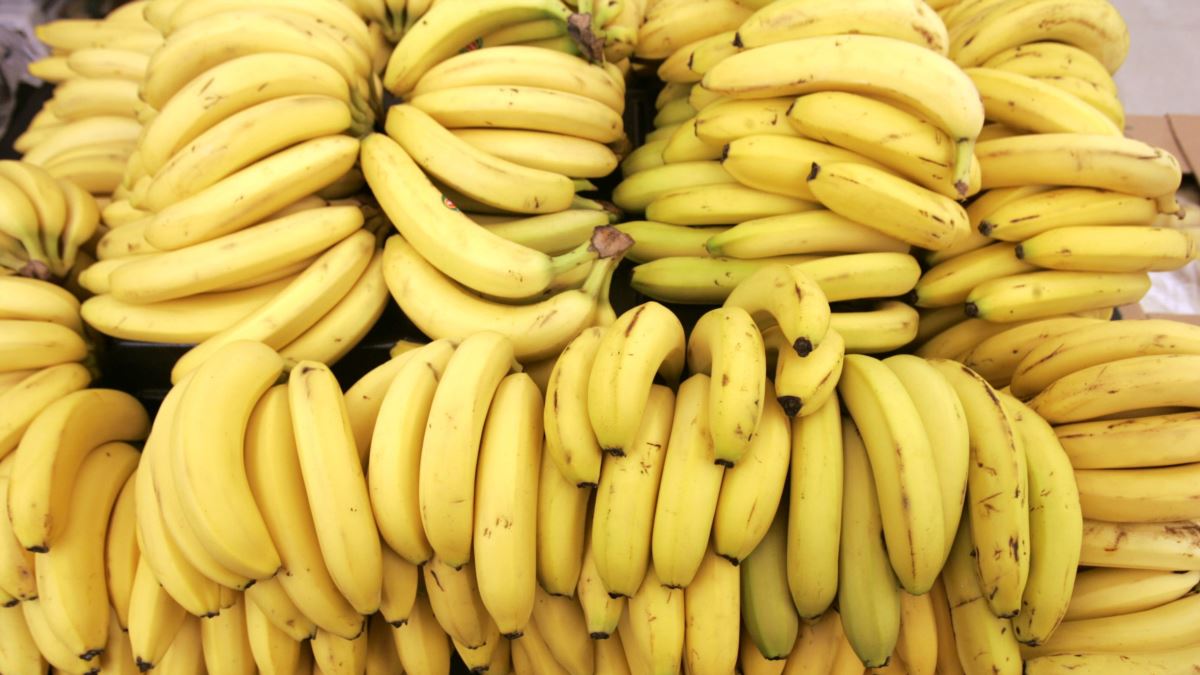 SOMBANA Agriculture Launches New Banana Export Initiative