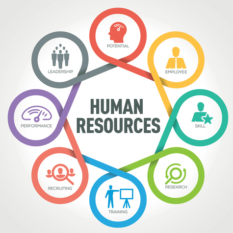 Human Resource Services Gallery Image
