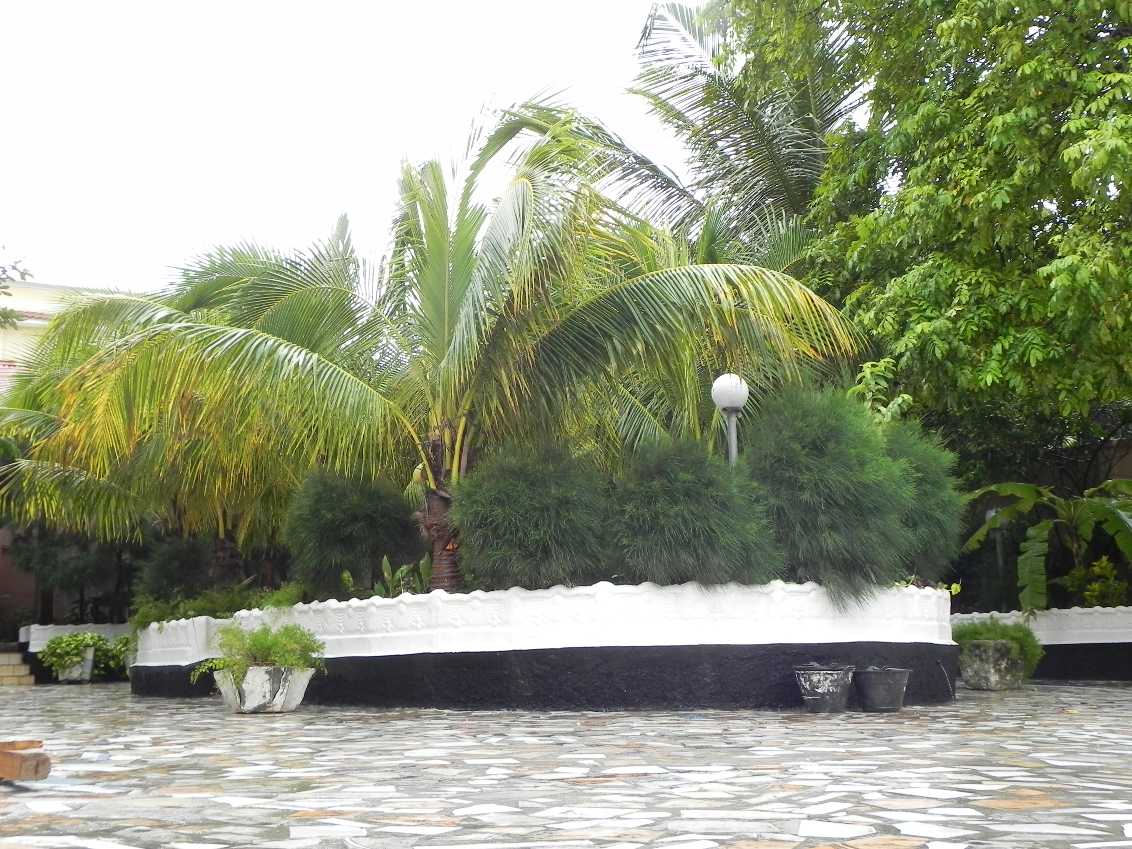 Facility Management Services Gallery Image